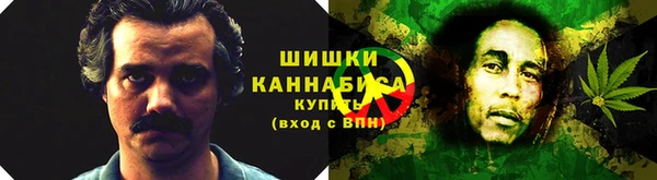 тгк Осинники
