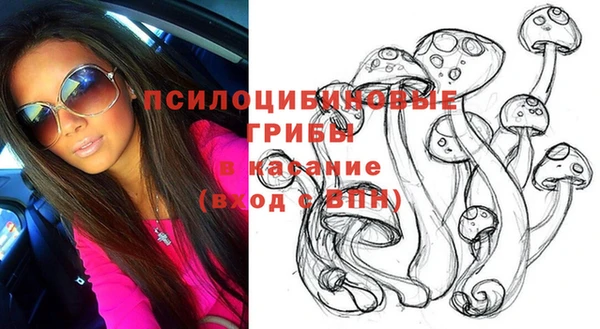 экстази Осташков