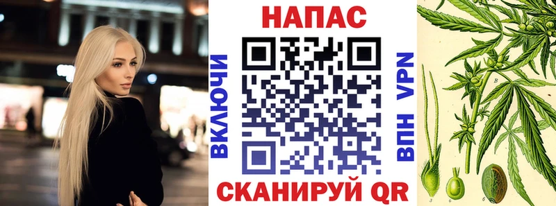закладки  Чекалин  darknet состав  МАРИХУАНА семена 